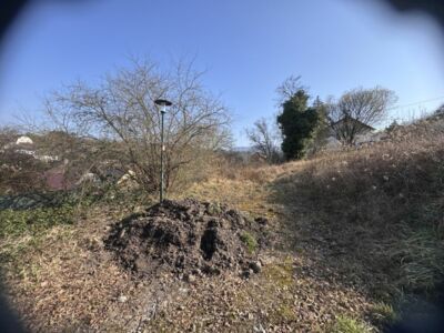 Ausblick unverbaubar